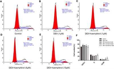 Kaempferol Ameliorates the Inhibitory Activity of Dexamethasone in the Osteogenesis of MC3T3-E1 Cells by JNK and p38-MAPK Pathways